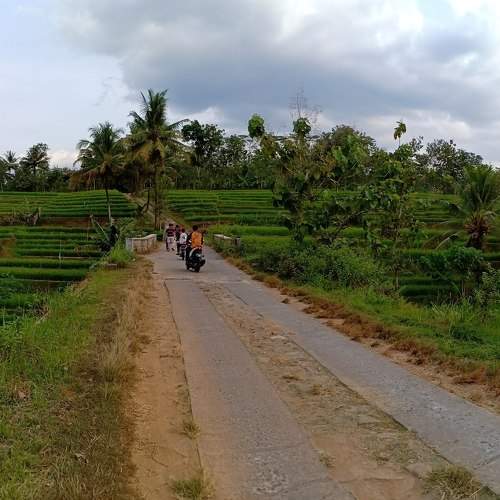 Photo #5707359