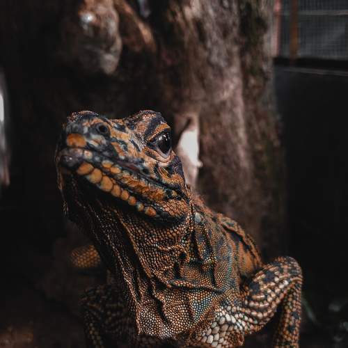 Photo #5707477