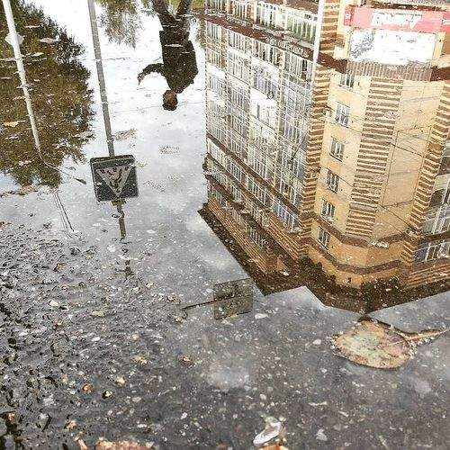 Photo #5707647