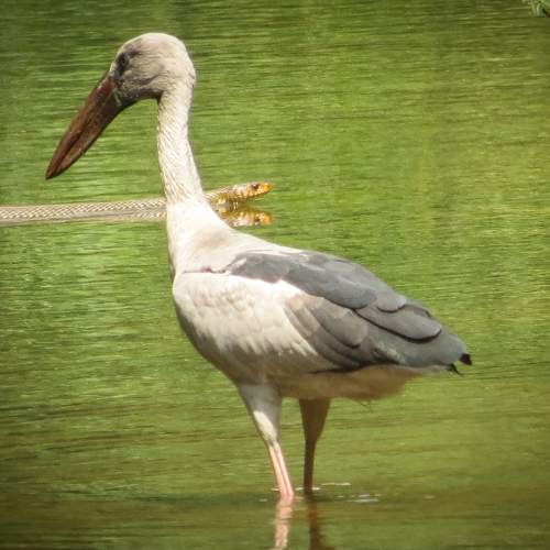 Photo #5707826