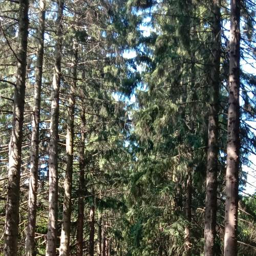 Photo #5707913