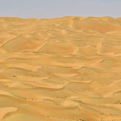 Photo #5708071