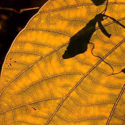 Photo #5708440