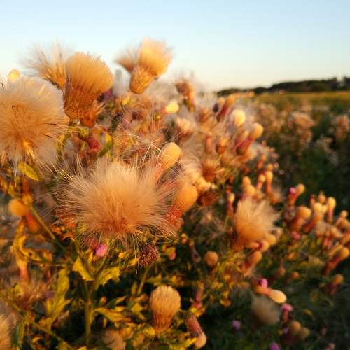 Photo #5708825