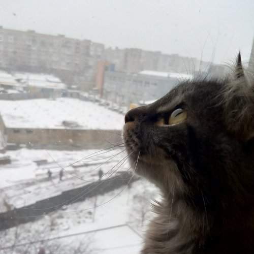 Photo #5709072