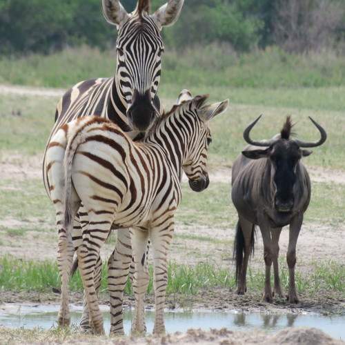 Photo #5709173