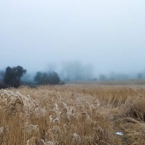 Photo #5709365