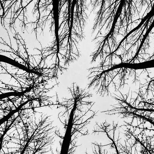 Photo #5709434