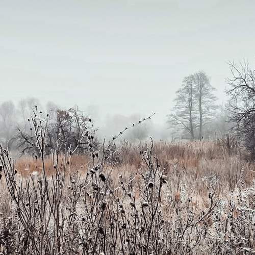 Photo #5709520