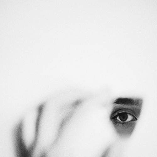 Photo #5709549
