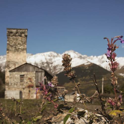 Photo #5709584