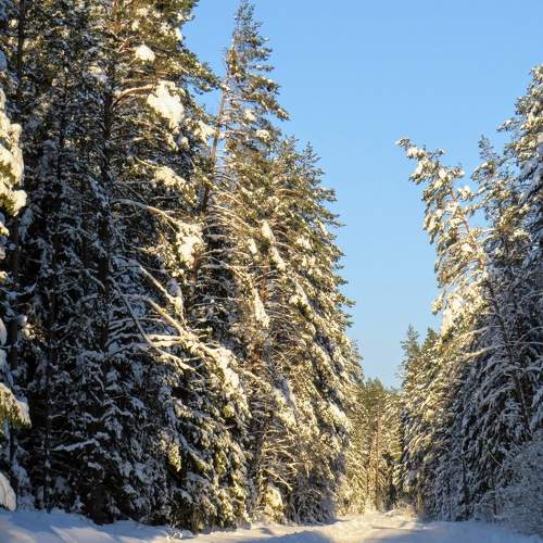 Photo #5709602