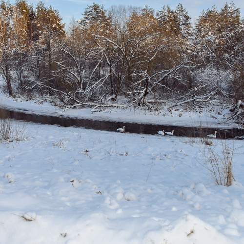 Photo #5709720