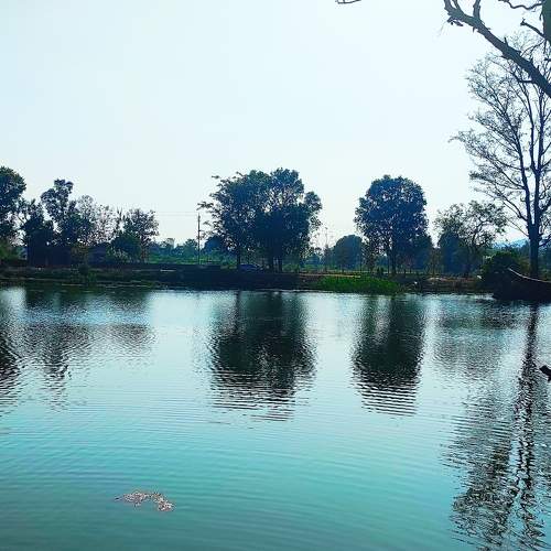 Photo #5709936