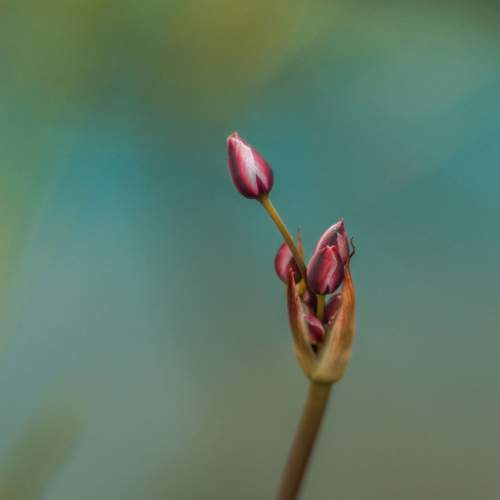 Photo #5710862