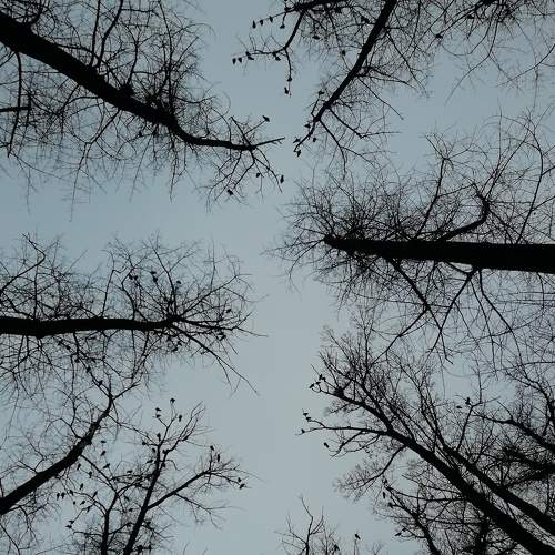 Photo #5710880