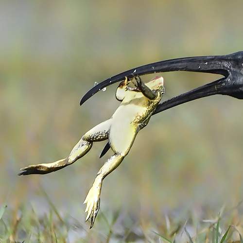 Photo #5710952