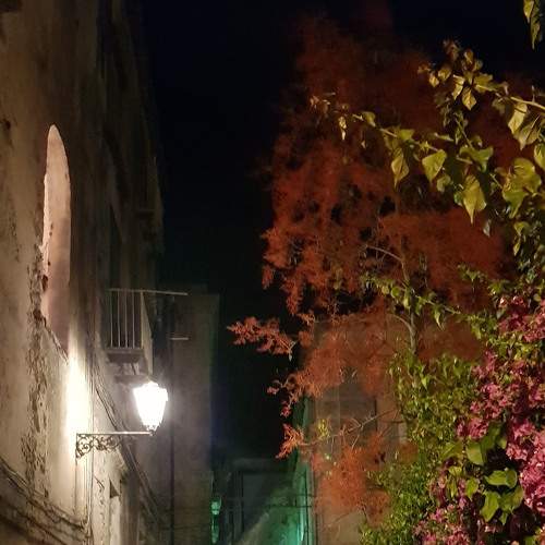 Photo #5711210