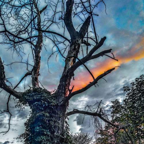 Photo #5711627