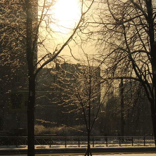 Photo #5711788