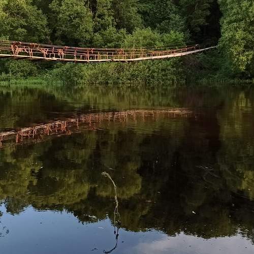 Photo #5711905