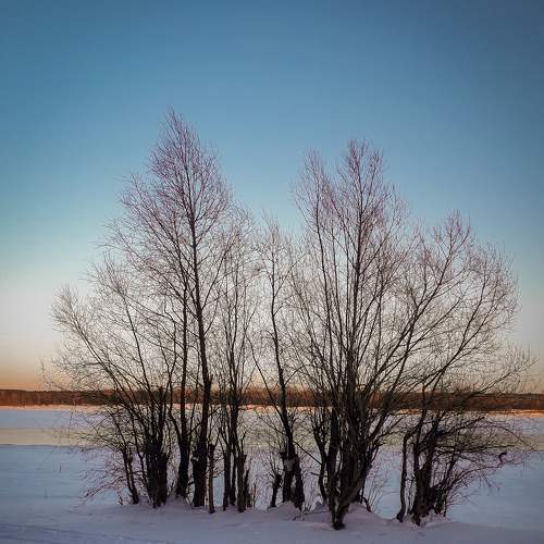 Photo #5712135