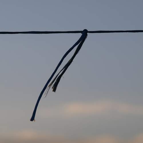 Photo #5712497