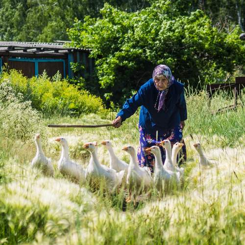 Photo #5712673