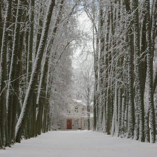 Photo #5713135