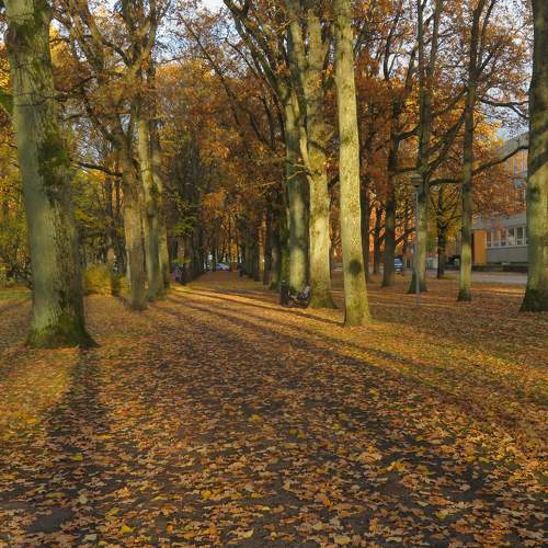 Photo #5713175