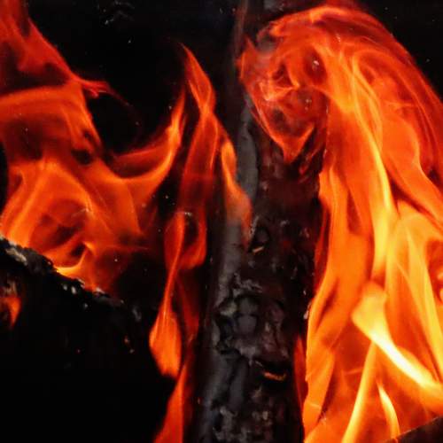 Photo #5713267