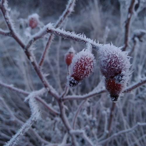 Photo #5713306