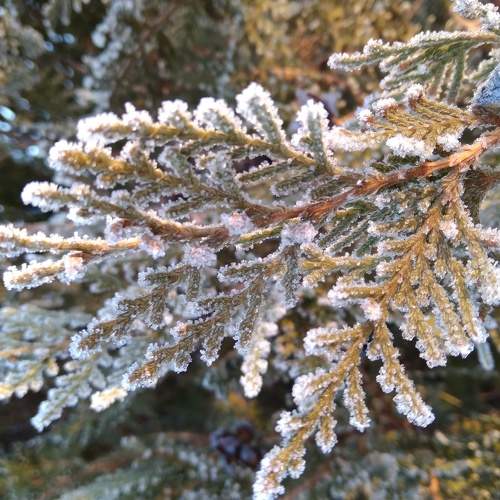Photo #5713307