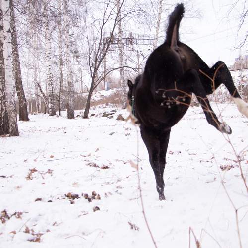 Photo #5713666