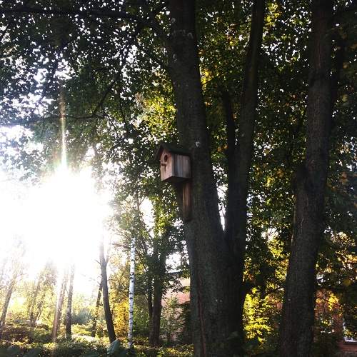 Photo #5713719