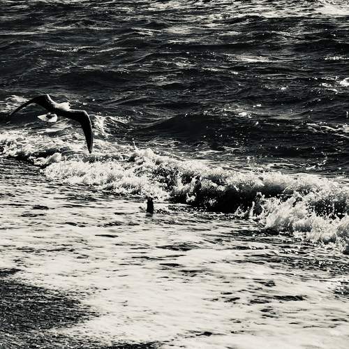 Photo #5713803