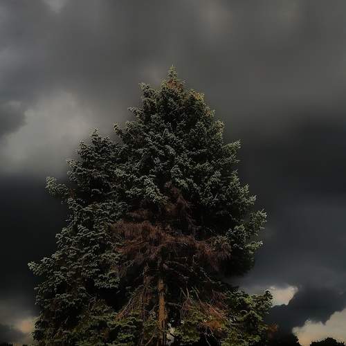 Photo #5714189