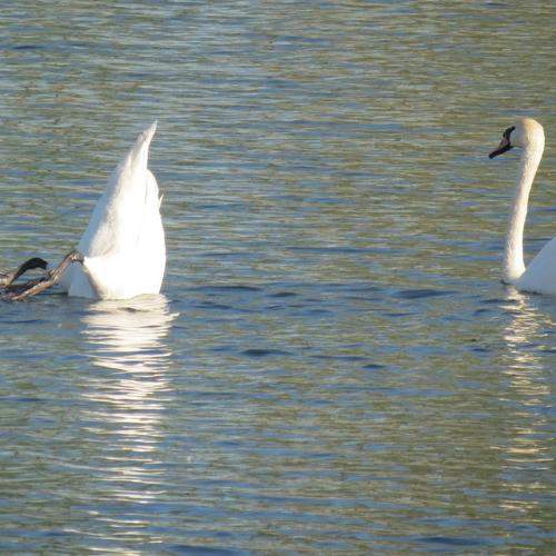 Photo #5714597