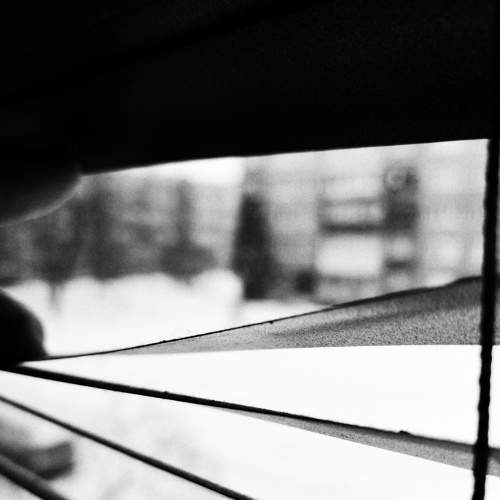 Photo #5714663