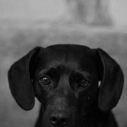 Photo #5714916