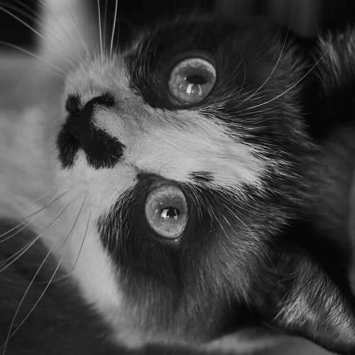 Photo #5714982