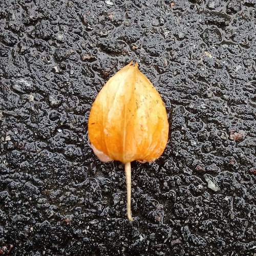 Photo #5715318