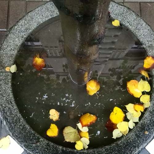 Photo #5715322