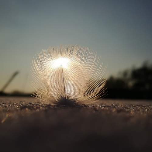 Photo #5715343