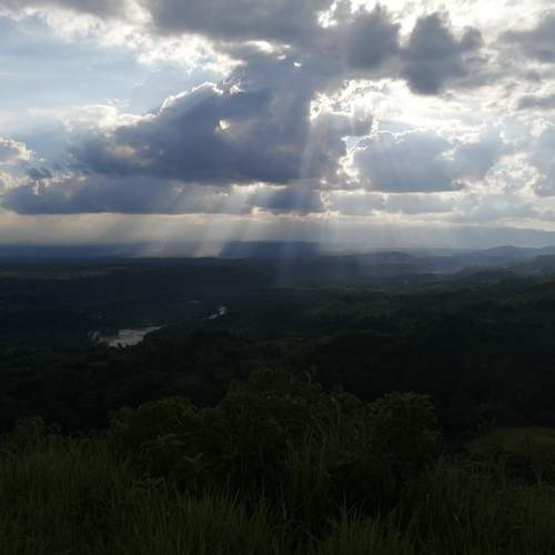 Photo #5715837