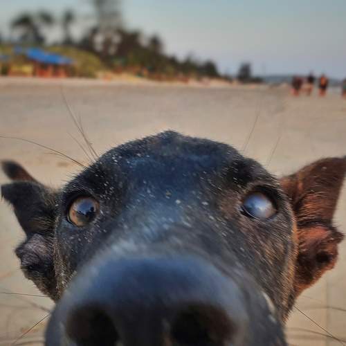 Photo #5715937