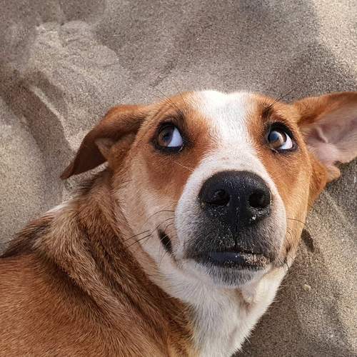 Photo #5715938