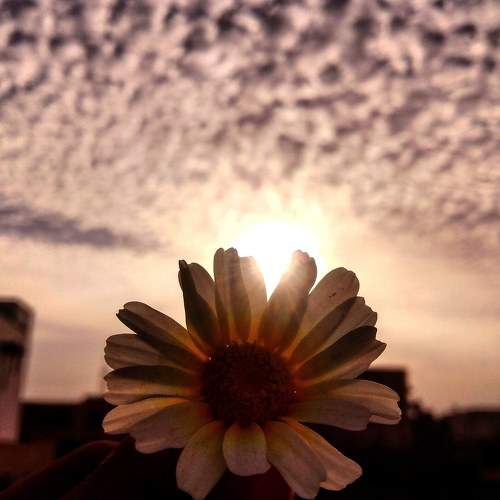 Photo #5715991
