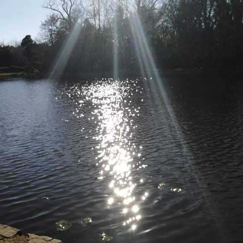 Photo #5716003