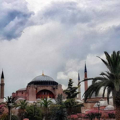 Photo #5716031